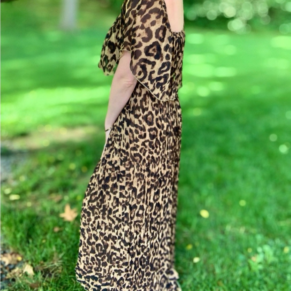 Leopard Maxi Dress (Size Small)